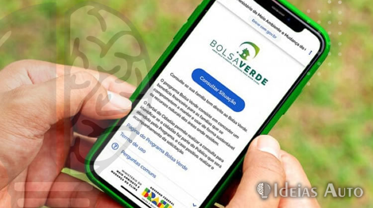 Bolsa Verde: Incentivo Financeiro para Famílias que Protegem o Meio Ambiente
